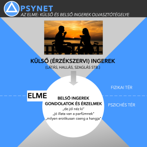 1-Külső és belső ingerek 🧠 PSYNET