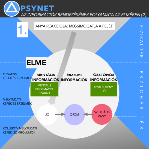 10-Információ-rendszerezés folyamata 2 🧠 PSYNET