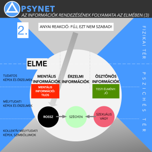 11 – Információ-rendszerezés folyamata 3 🧠 PSYNET