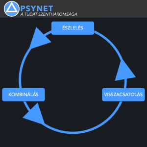 20 – Észlelés-kombinálás-visszacsatolás 🧠 PSYNET