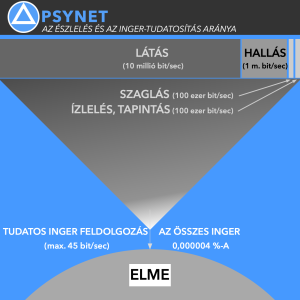 6-Érzékelés és tudatosság aránya 🧠 PSYNET