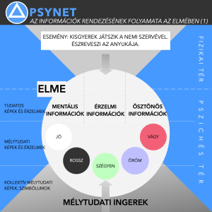 9-Információ-rendszerezés folyamata 1 🧠 PSYNET