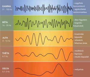 Agyhullámok jellemző frekvencia tartományai 🧠 PSYNET